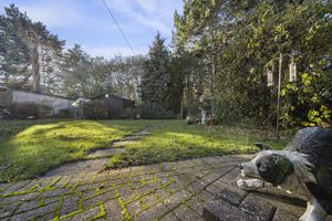 Photo 16- click for photo gallery